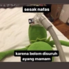 Ayang 26