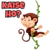 Funny Monkey 11