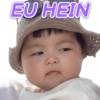 EU HEIN