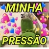 SAPINHO SINCERO 13