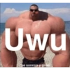 Memes 19