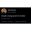Willy_1 29