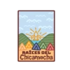 Scouts A.C.E. 5