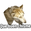 Perritos 20