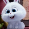 Snowball Rabbit 2 17