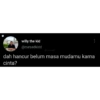 Willy_1 24
