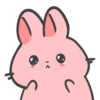 Spidi the bunny 12