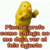 Sarcasmo 30