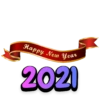 Happy New Year 2021 9