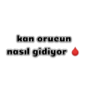 Sevgilim 8
