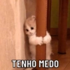 EXPLOSÃO DE SENTIMENTOS 5