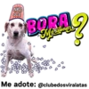 StickerAdoption  29