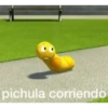 Pichula 5