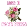 Fato Certo Não Tem Erro 8