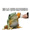Inglés y animales 6