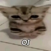 OI