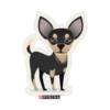 PURINA