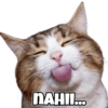 NAHII...