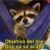 Objetivo del día:
Que ya se acabe.
