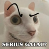 SERIUS GATAU?