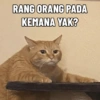 RANG ORANG PADA KEMANA YAK?