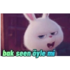 buk seen öyle mi
