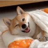 00