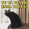 TU TÁ VENDO ESSA TRETA?