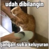 udah dibilangin jangan suka keluyuran