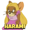 HARAMI