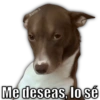 Aarón Me deseas, lo sé