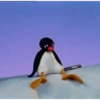 Pingu 8