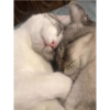 This could be us 15
