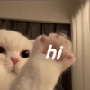 hi