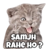 ree SAMJH RAHE HO?