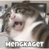 MemeRandom2 14