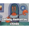 sedang memantau
chindo