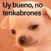 Uy bueno, no tenkabrones