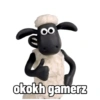 OO
okokh gamerz