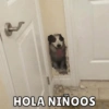 HOLA NINOOS