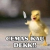 CEMAS KAU
DEKK!!