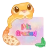 🦎💕Gecko Aurora💕🦎 8