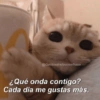 @Gatitoslindosconfrase ¿Qué onda contigo? Cada dia me gustas más.