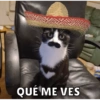 QUÉ ME VES