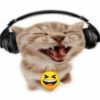 Gatitos mood 6