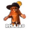 Gato con Botas Random 10