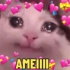 AMEIIII