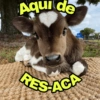 Aqui de RES-AGA