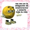 me veo en la obligación de enamorarme y amarte toda la vida