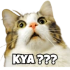 KYA ???
